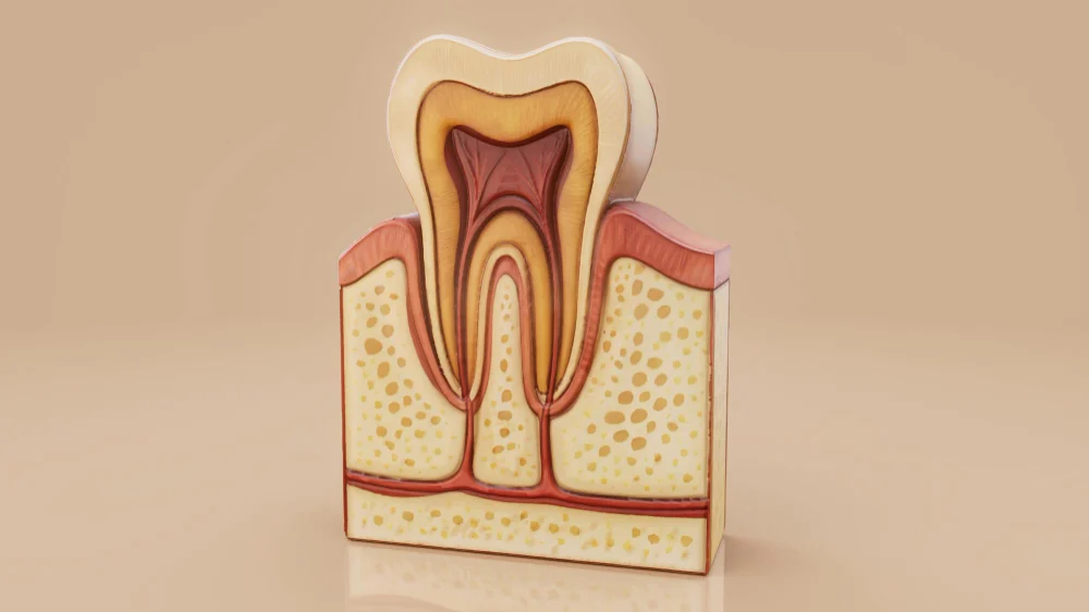 What Is Gum Disease